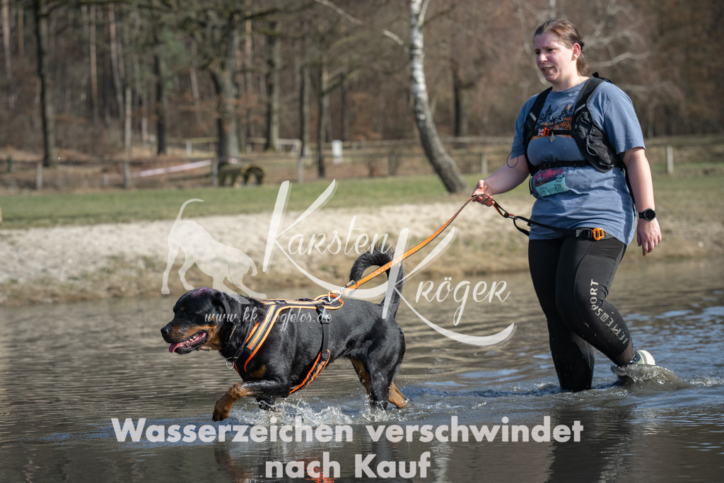 1331_ZZ96793 | kk-dogfotos