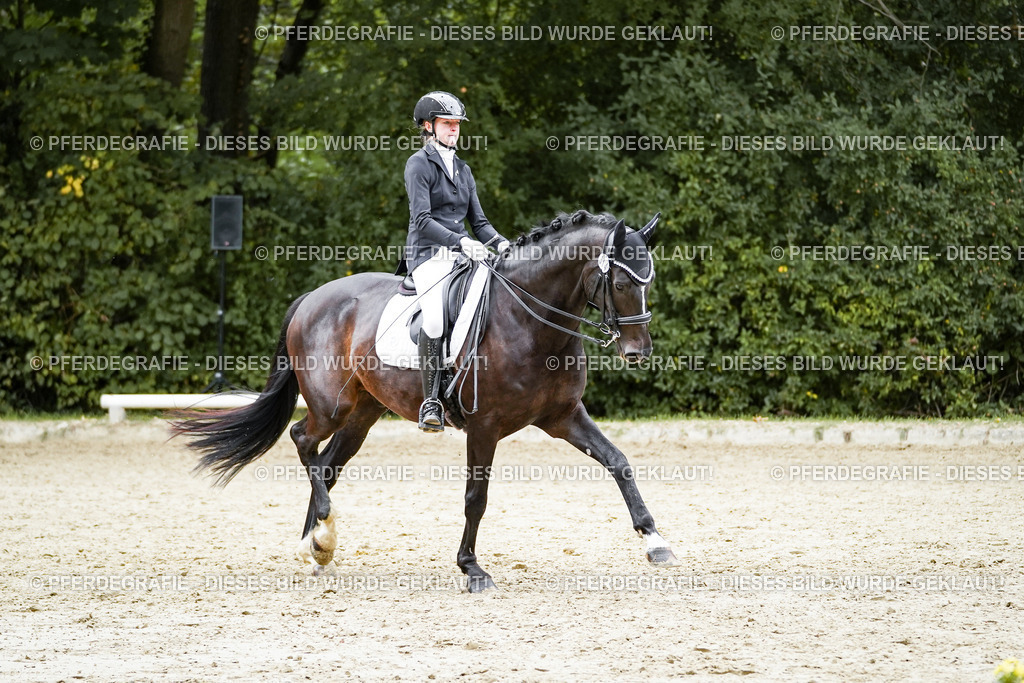 DSC01244 | Pferdegrafie