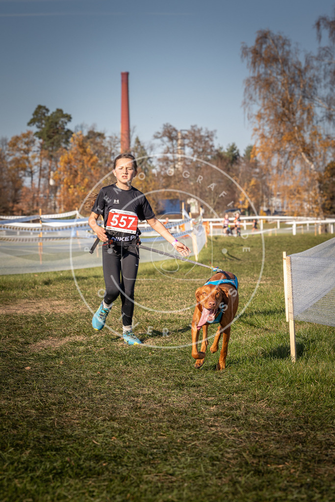 CaniXpix_0L8A7819 | Hundefotografie, Tierfotograf, Pfotenfotografie, Fotoshooting Hund, Hunde Portrait, Hundesport, Hundeportraits, Heideshooting, Hunde, Sportfotograf, Hundefotograf, Turnierhundsport, THS,  - Realisiert mit Pictrs.com