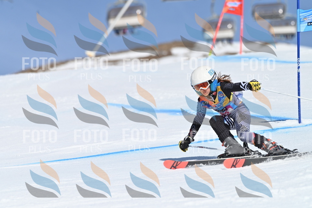 BGV_9107 | holidayphoto