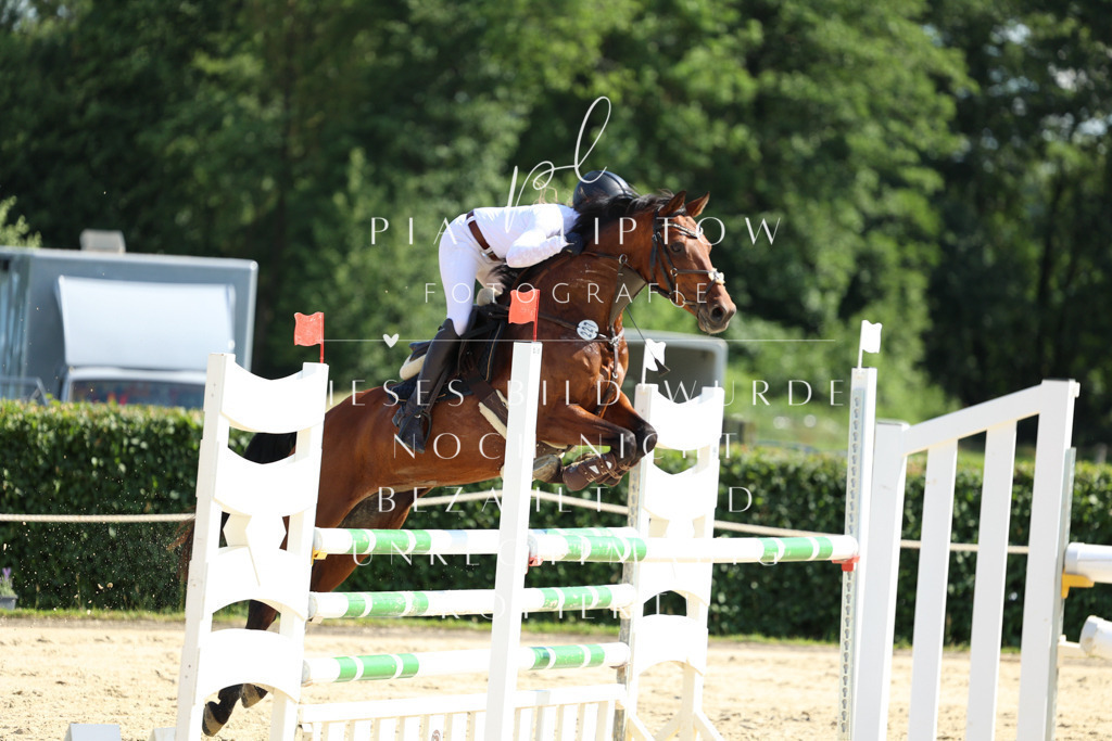 IMGM3100 | pl-fotografie