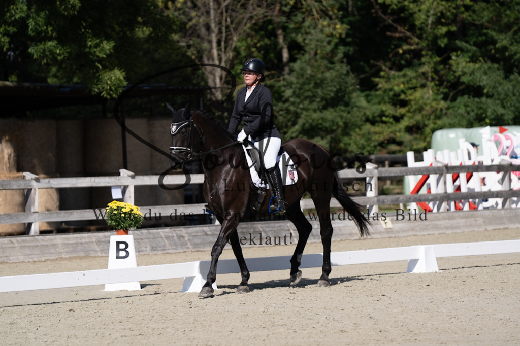 A7V07073 | Pferdefotograf