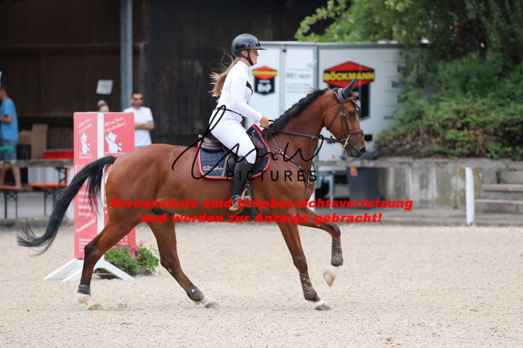 IMG_7679 | lmwpictures - Realisiert mit Pictrs.com