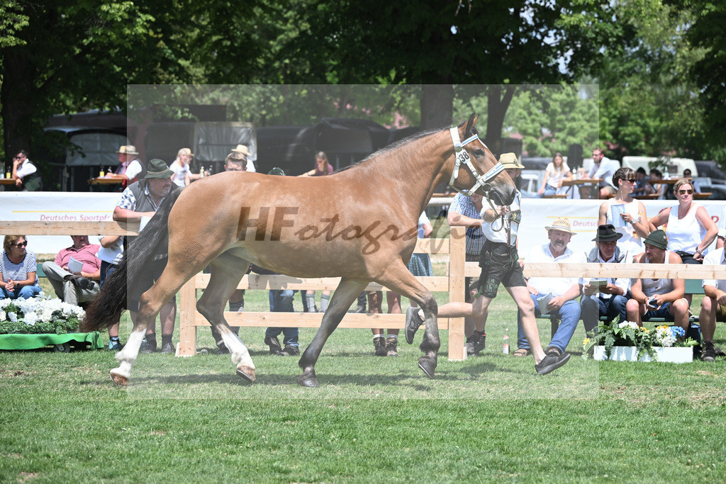 Kat-Nr. 38 Zora_Kneissl_20230587 | hf-fotografie - Realisiert mit Pictrs.com