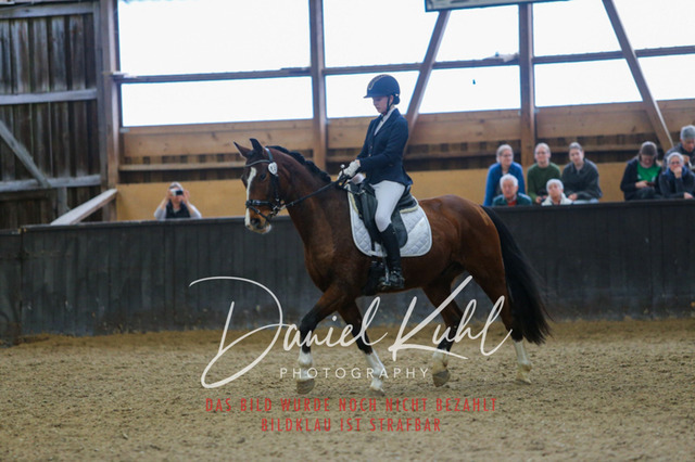 IMG_0644 | Turniersportfotografie; Pferdefotografie; Dressurfotografie