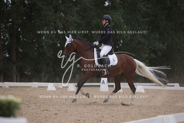 1J2A1004Charlotte Fehr_ Ikon 16_ Kn061_ Wöpkendorf_ Annalena Beier_ Quinn M_ Kn095 | Foto- und Videografie für alles rund ums Pferd. Hochwertige Bilder und Videos vom Spring- und Dressurreiten, Voltigieren & mehr. Jetzt aktuelle Veranstaltungen und Preise im Shop ansehen. - Realisiert mit Pictrs.com