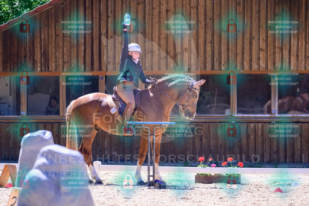 02052026-Giesenbach-01-Stiltrail-0365 | Fokus Hufschlag Fotografie - Realisiert mit Pictrs.com