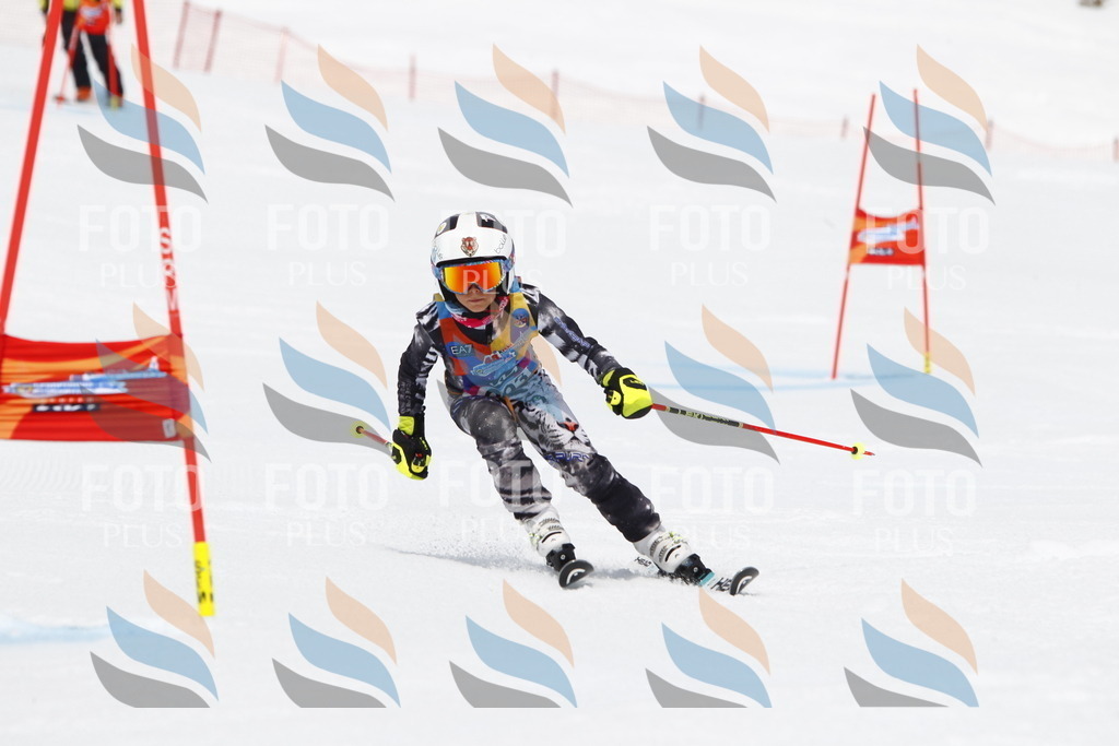 _U3G7315 | holidayphoto