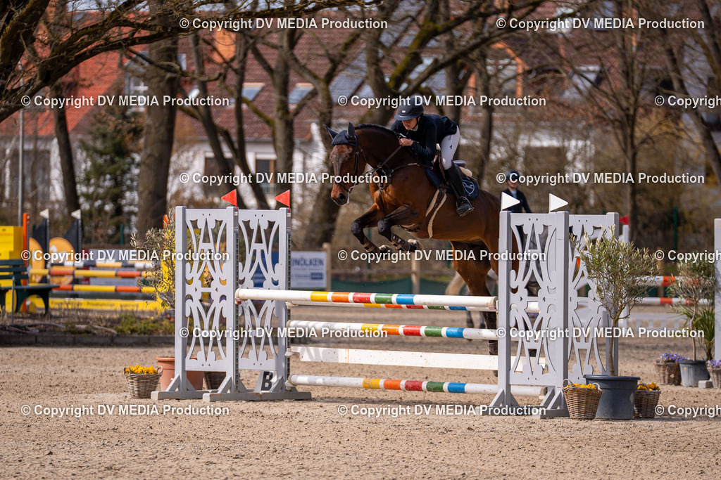 Kranichstein Tag 1-751 | dv-media-shop - Realisiert mit Pictrs.com