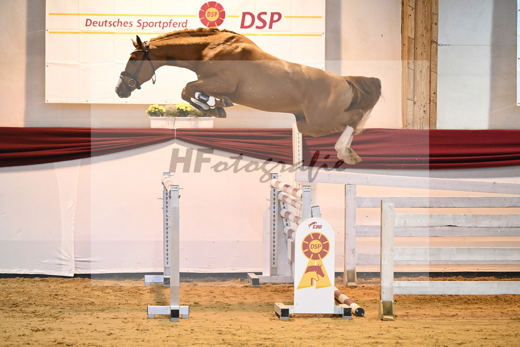 Kat-Nr. 14 v. Cizero Z_Zurich_66221154 | hf-fotografie - Realizzato con Pictrs.com