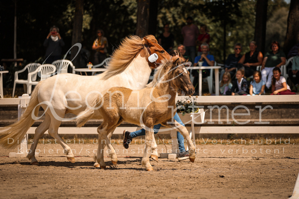 02.DoSR00006 | Leoni Ertmer Photography - Realisiert mit Pictrs.com