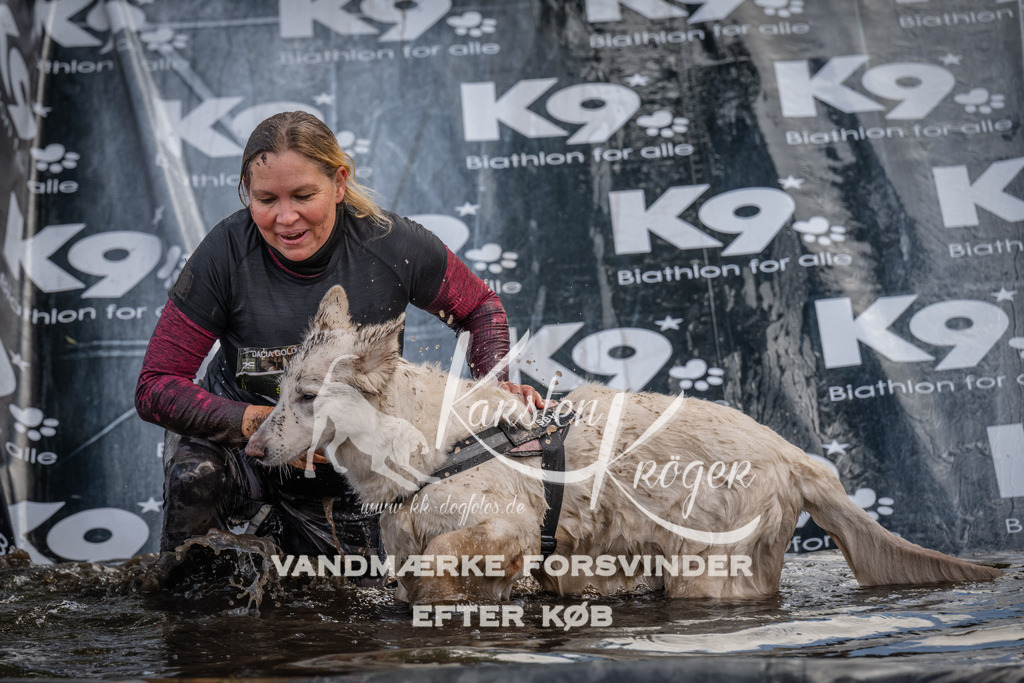 1538_ZZ90228 | kk-dogfotos