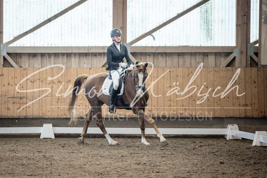 20251011-_3LI7056 | Tierfotografie Pferde, Hunde, Katzen, Haustiere.
Turnierfotografie Reitturniere, Reiten, Springreiten, Dressur in Hanau, dem Main-Kinzig-Kreis und dem Rhein-Main- Gebiet um Frankfurt