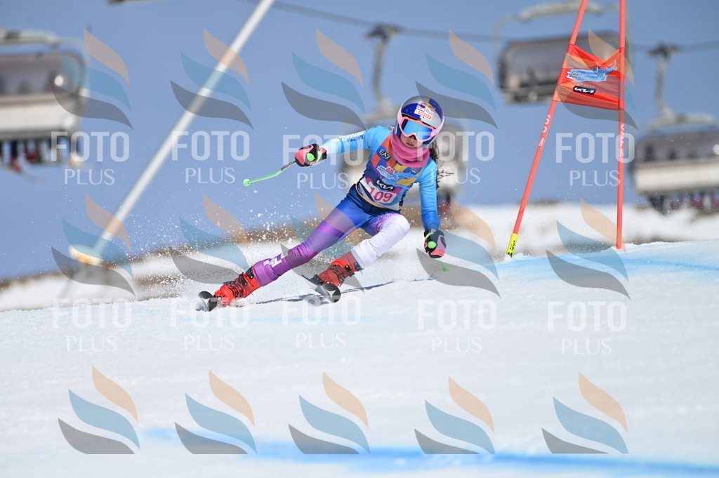 BGV_9610 | holidayphoto