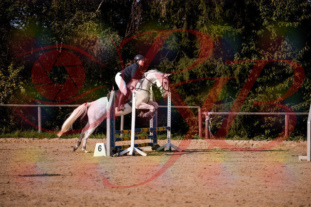 2026_10_03_Siefer-Hof_154007_Z81_56059671 | Professionelle Reitsport-, Turnier- und Eventfotografie von Robert Broda. Galerien mit ausgewählten und bearbeiteten Bildern direkt online ansehen und bestellen.