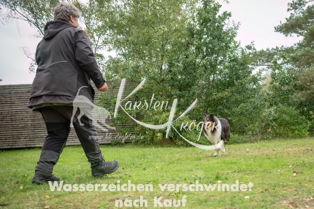 1653_ZZ90519-3-Bearbeitet | kk-dogfotos