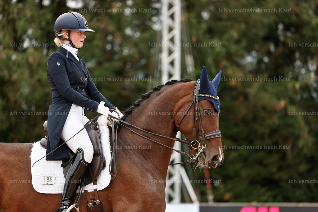 6-196-AMATUER-DRESSUR S_  -StoibPH-3521 | working equitationturnier fotograf videograf stoibphotography marixx film working equitation deutschland reitsport turnierfotografie eventfotografie equestrian events
