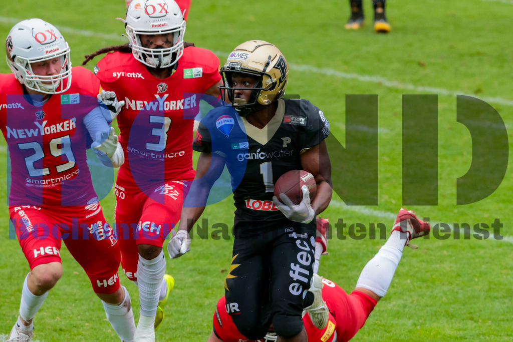 GFL: Paderborn Dolphins vs. New Yorker Lions{date} -  | {headline}(Foto: Sebastian Sendlak / BOND) - Realisiert mit Pictrs.com