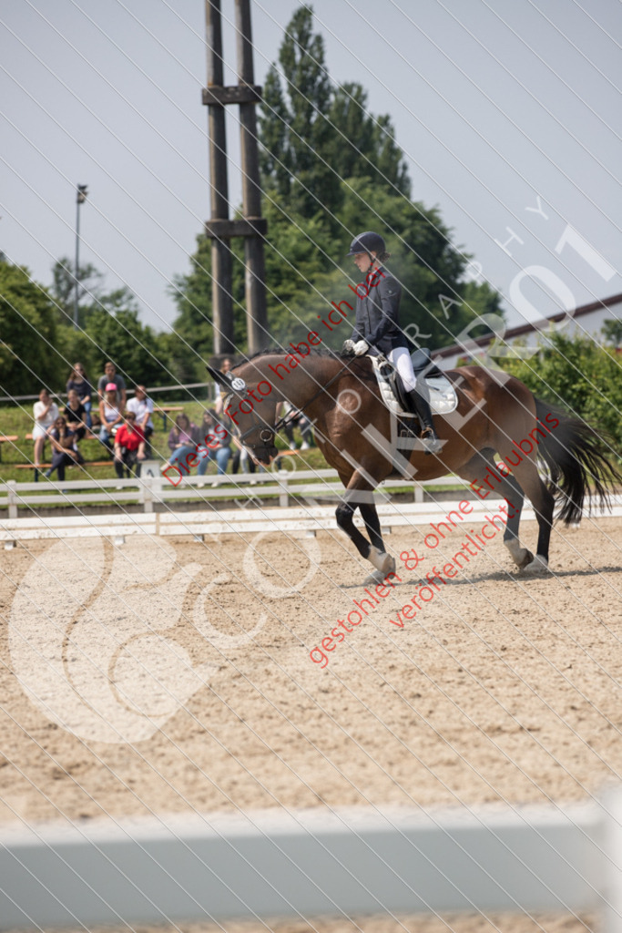 IMG_3837 | Sport-, Event- und Tierfotos in Profiqualität. Einfach auswählen, bestellen und herunterladen. Dein Moment – perfekt festgehalten.