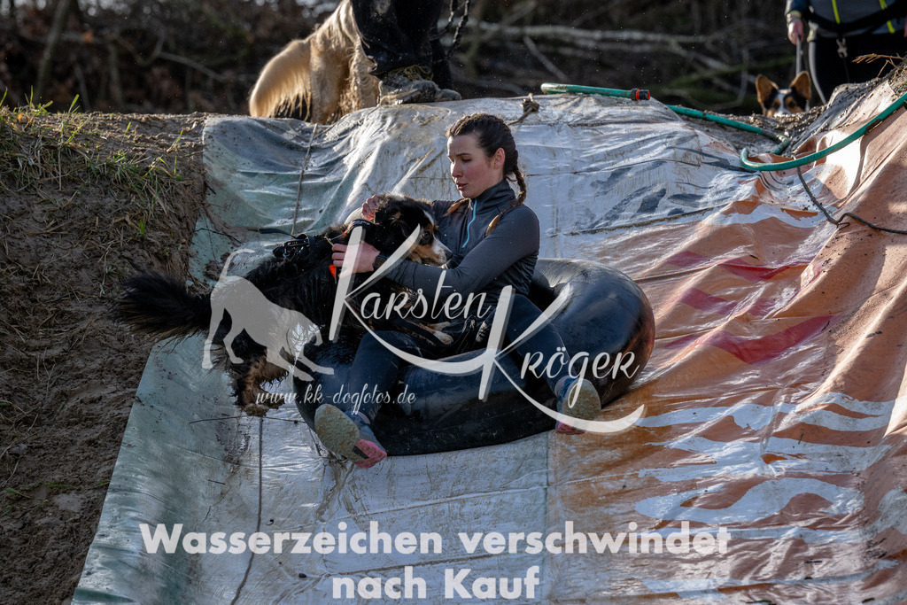 1627_ZZ91574 | kk-dogfotos