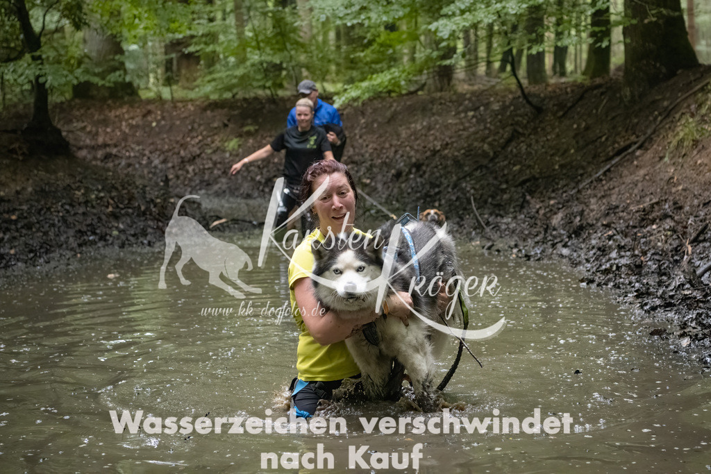 0956_ZZ91556-Bearbeitet | kk-dogfotos