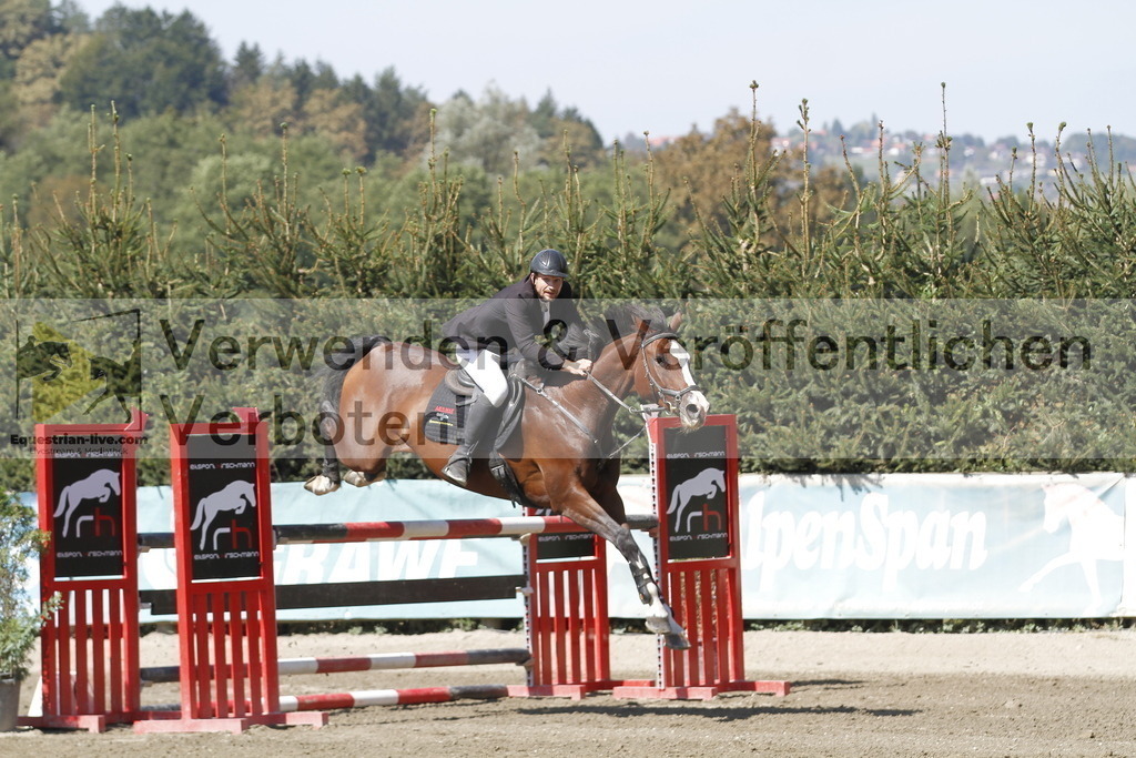 _MG_6272 | equestrian-live-com