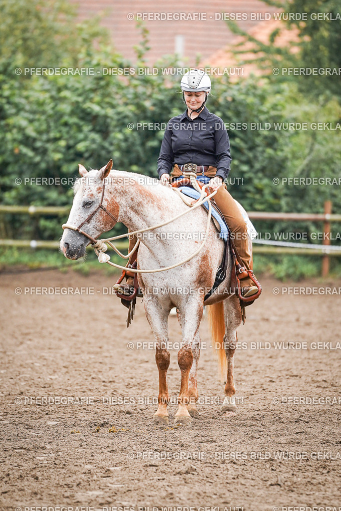 DSC02047 | Pferdegrafie