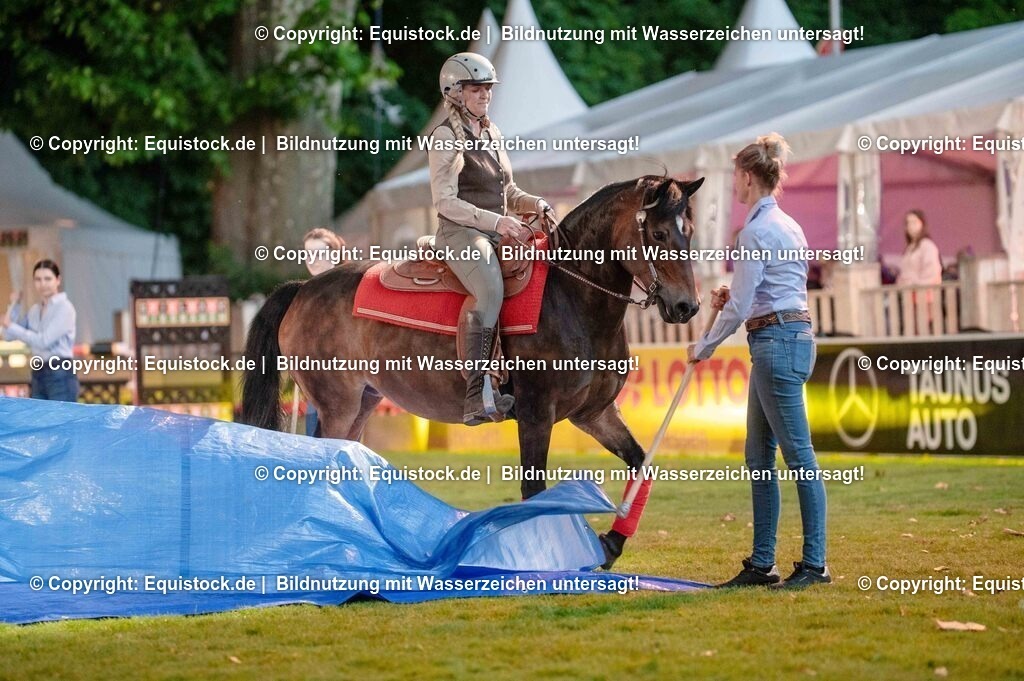 20250606_Lange-Pferdenacht_0992 | Foto: Thomas Hartig