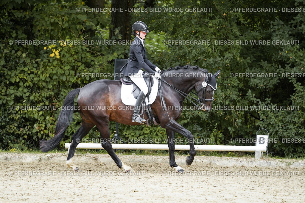 DSC01320 | Pferdegrafie