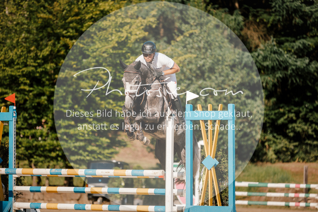 3I6A6286 | Stimmungsvolle Portraits und Reitsportfotografie im Ruhrgebiet und im Münsterland.

Pferdefotografie, Hundefotografie, Tierfotografie, Reportagen, Portraits von Tier und Mensch, Turnierfotografie in Bochum, Recklinghausen, Marl, Haltern am See, Dülmen.. - Realisiert mit Pictrs.com