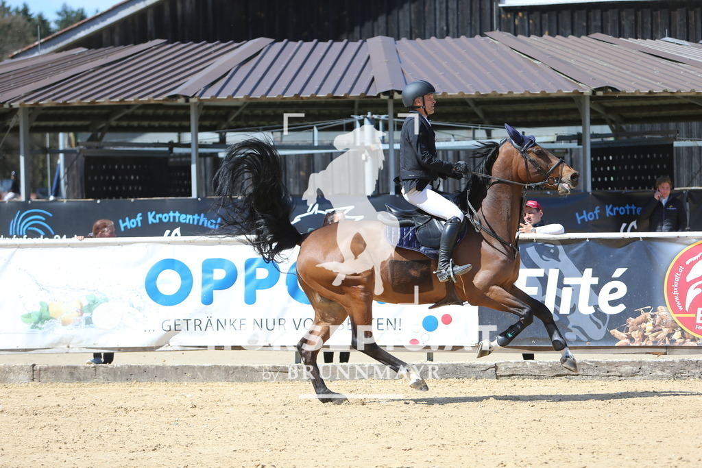 DL2Q5441 | Willkommen bei Brunnmayr - Design & Fotografie – Ihrem Spezialisten für Reitturniere und Pferdeveranstaltungen in Oberösterreich, Salzburg und Bayern! Seit über 17 Jahren sind wir leidenschaftlich dabei.