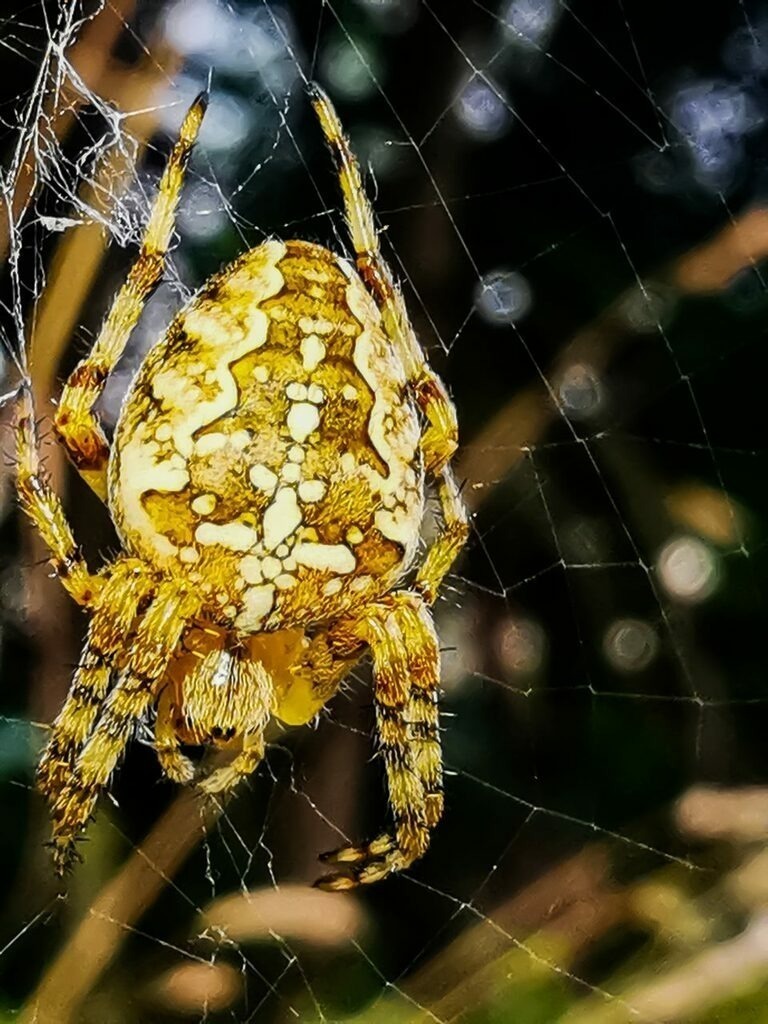 PSX_20220805_235045 | mtkfoto_ - Realisiert mit Pictrs.com