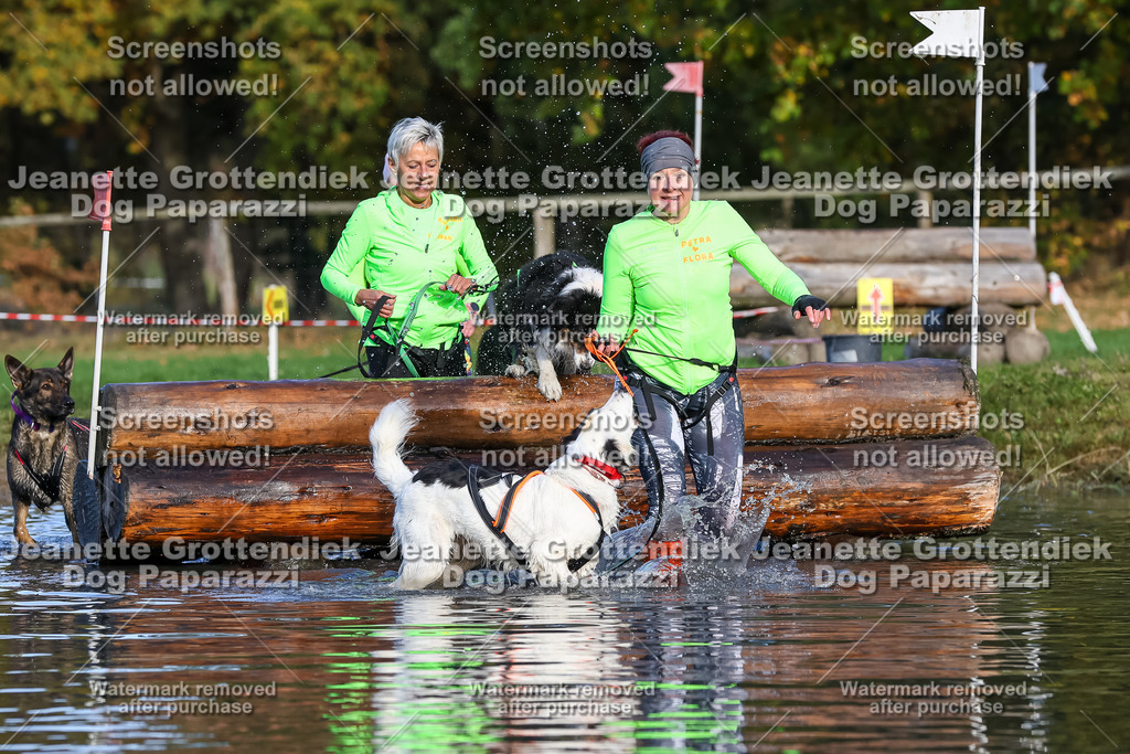 Dog Paparazzi - Strongdog 10-25-8497 | Dog Paparazzi Jeanette Grottendiek Fotografie & Videografie - Realisiert mit Pictrs.com