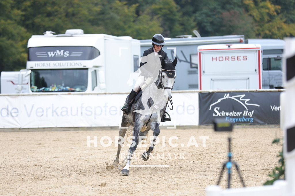 0P6A3045 | Willkommen bei Brunnmayr - Design & Fotografie – Ihrem Spezialisten für Reitturniere und Pferdeveranstaltungen in Oberösterreich, Salzburg und Bayern! Seit über 17 Jahren sind wir leidenschaftlich dabei.