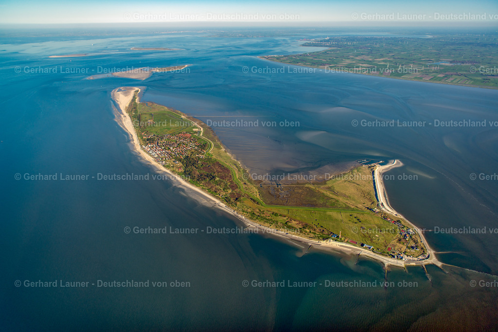3801433 | Wangerooge Nationalpark Niedersächsisches Wattenmeer