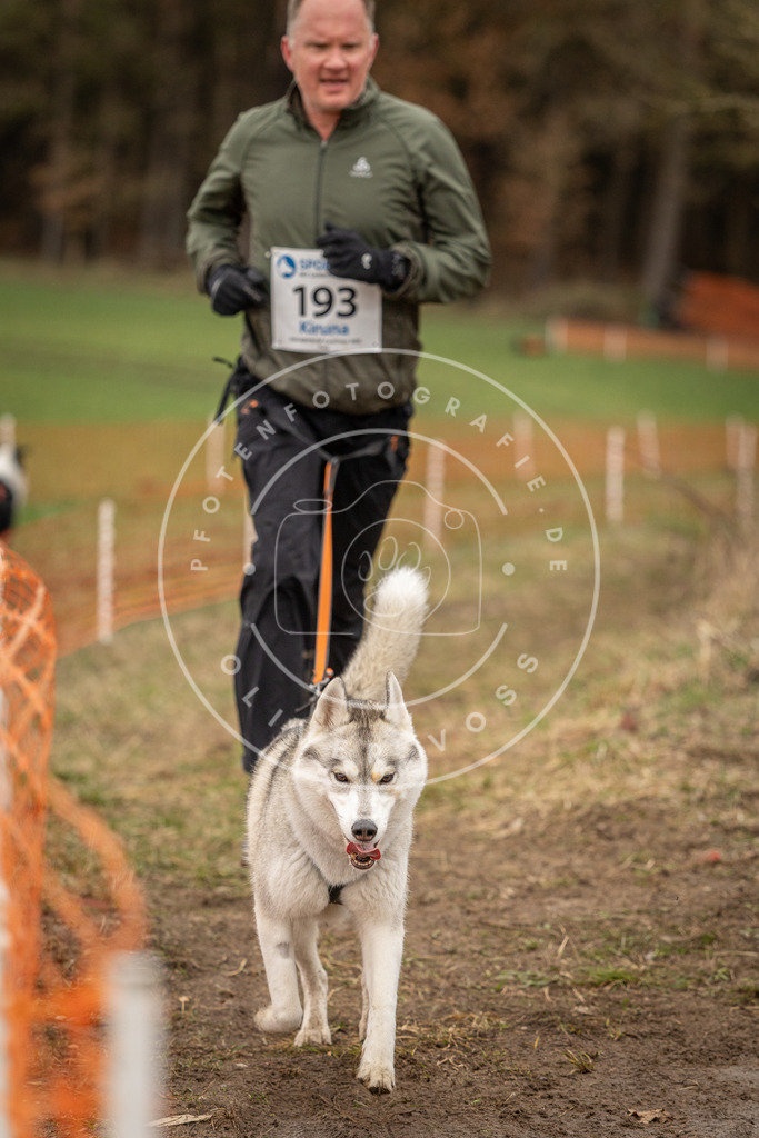 DV3A2738 | Hundefotografie, Tierfotograf, Pfotenfotografie, Fotoshooting Hund, Hunde Portrait, Hundesport, Hundeportraits, Heideshooting, Hunde, Sportfotograf, Hundefotograf, Turnierhundsport, THS,  - Realisiert mit Pictrs.com