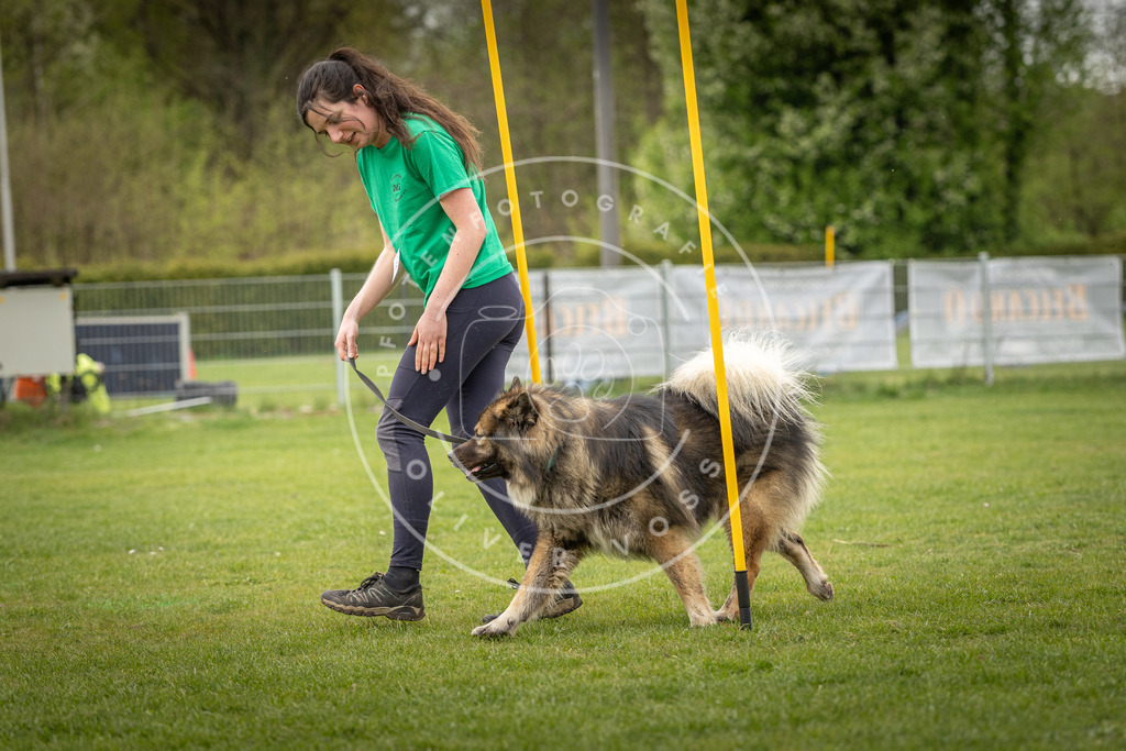 Pfotenfotografie_DV3A1742 | Hundefotografie, Tierfotograf, Pfotenfotografie, Fotoshooting Hund, Hunde Portrait, Hundesport, Hundeportraits, Heideshooting, Hunde, Sportfotograf, Hundefotograf, Turnierhundsport, THS,  - Realisiert mit Pictrs.com