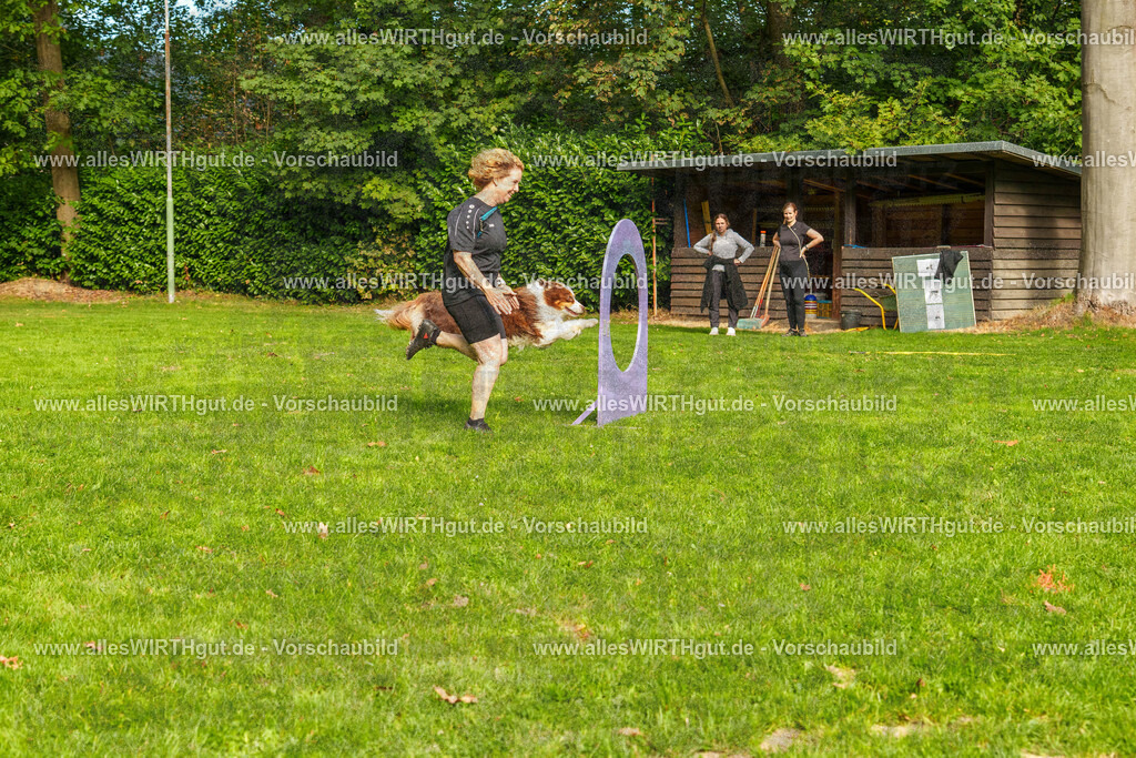 THS_Turnier_27-09-2026-allesWIRTHgut_Tierfotografie-7R507265 | Professionelle Tierfotografie in Mönchengladbach von Daniel Wirth (allesWIRTHgut). Liebevolle & natürliche Bilder von Hunden & Katzen für unvergessliche Erinnerungen.