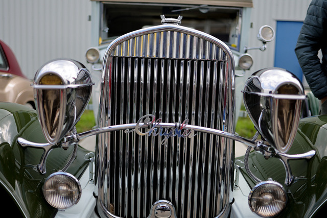 Calag_Oldtimer2025-54 | Ich fotografiere Hundeausstellungen, Sportanlässe, Zuchtstätten, Hundezucht, Hundeportrait, Lagotto - Realisiert mit Pictrs.com