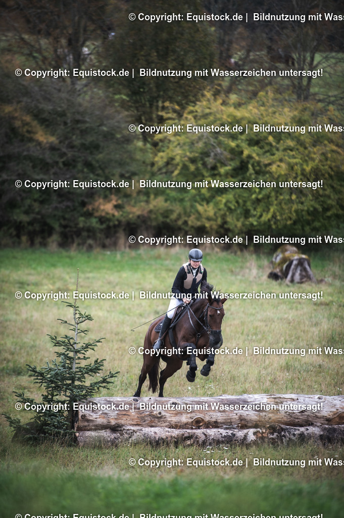 20241013_Jagd-Marbach_0316 | Foto: Thomas Hartig