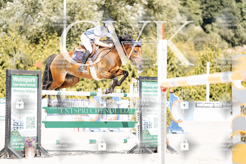 CK908916 | Turnierfotografie Pferdefotografie Trier Rheinland-Pfalz Pferdesport Reitsport Tierfotografie Sportfotografie Pferdevideo Pferdevideografie Equestrianvideography equestrianphotography  - Realisiert mit Pictrs.com