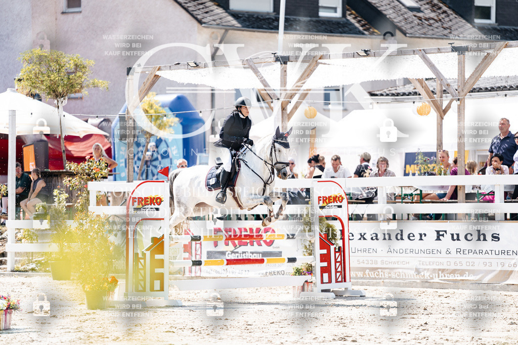 CK908935 | Turnierfotografie Pferdefotografie Trier Rheinland-Pfalz Pferdesport Reitsport Tierfotografie Sportfotografie Pferdevideo Pferdevideografie Equestrianvideography equestrianphotography  - Realisiert mit Pictrs.com