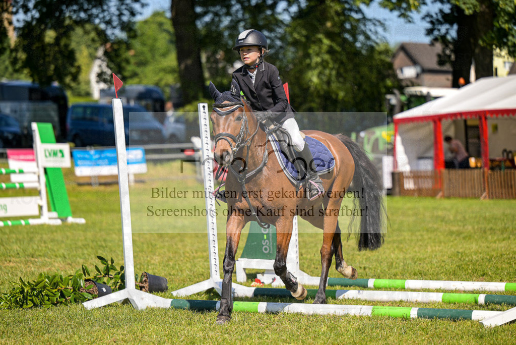 Reitturnier Voxtrup | Entdecke hochwertige Reitturnierfotos von Foto Oger. Professionell, emotional und authentisch – jetzt Lieblingsmomente im Shop bestellen.Deutschlandweite Turnierfotografie. - Realisiert mit Pictrs.com