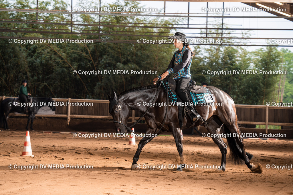 Erbach Tag 4-204 | dv-media-shop - Realisiert mit Pictrs.com