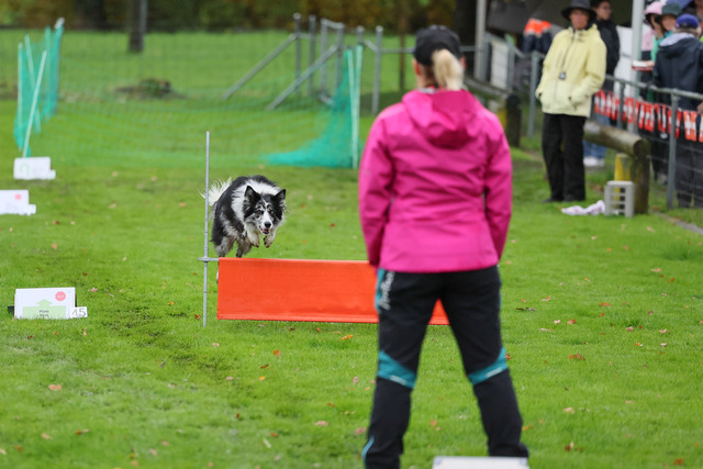 2025_Rally_Obedience_SM-75 | Ich fotografiere Hundeausstellungen, Sportanlässe, Zuchtstätten, Hundezucht, Hundeportrait, Lagotto - Realisiert mit Pictrs.com