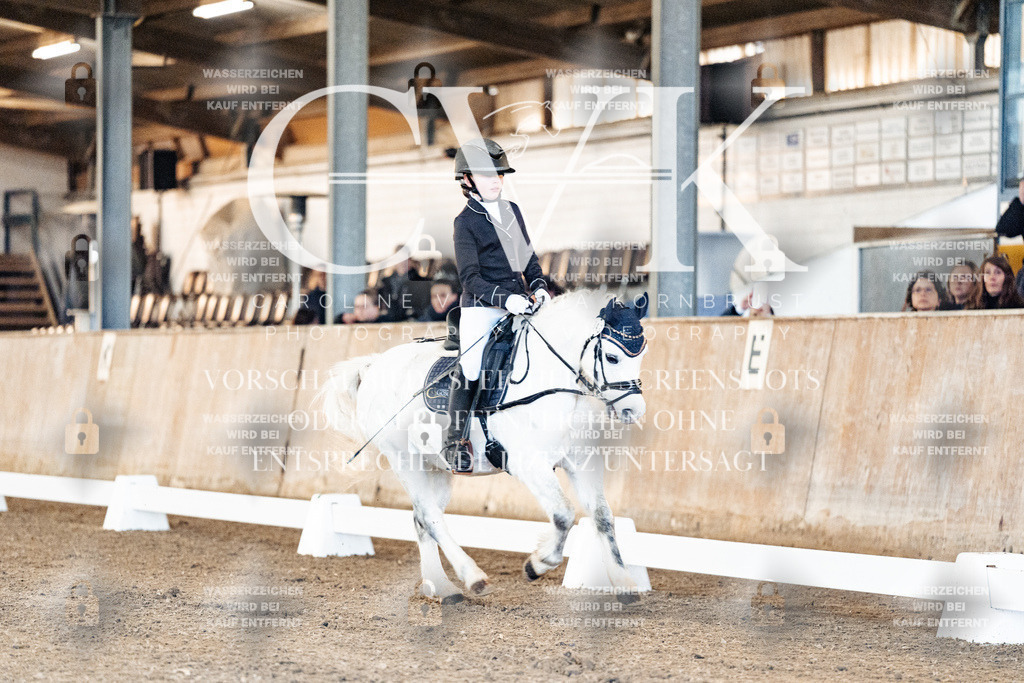 CK906408 | Turnierfotografie Pferdefotografie Trier Rheinland-Pfalz Pferdesport Reitsport Tierfotografie Sportfotografie Pferdevideo Pferdevideografie Equestrianvideography equestrianphotography  - Realisiert mit Pictrs.com