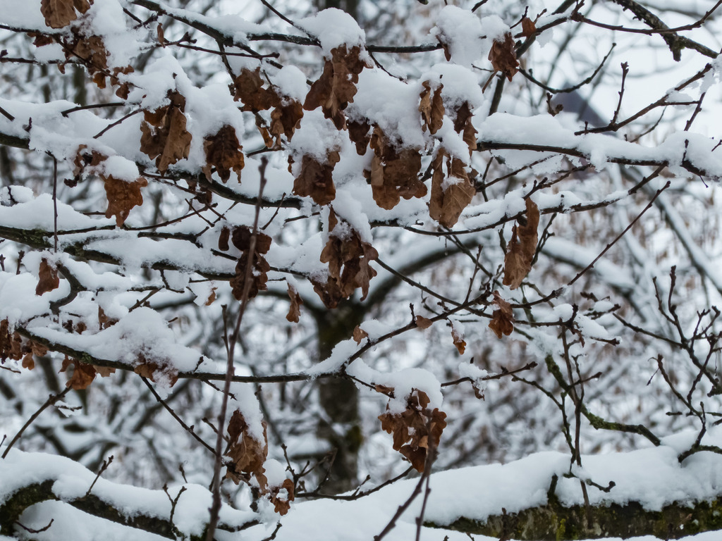 PSX_20230312_001435 | mtkfoto_ - Realisiert mit Pictrs.com