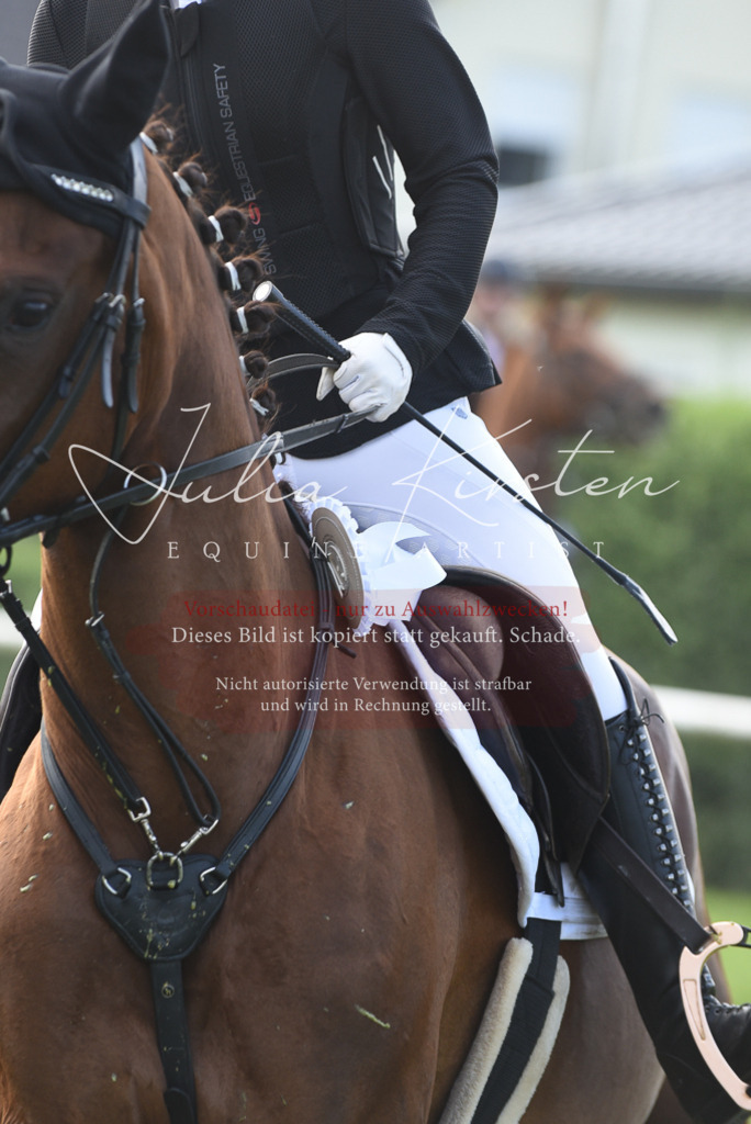 DSC_9000 | Pferde- und Turnierfotografie in Westsachsen. Pferdeportraits, Auftragszeichnungen und intuitive Kunst.