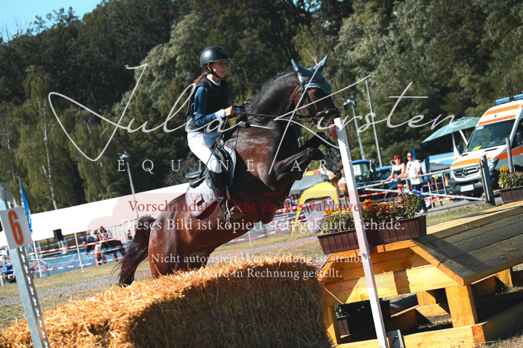 DSC_7937 | Pferde- und Turnierfotografie in Westsachsen. Pferdeportraits, Auftragszeichnungen und intuitive Kunst.