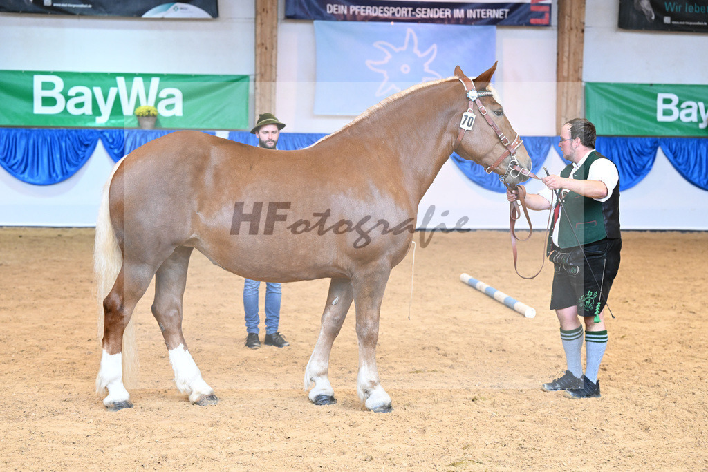 Kat-Nr. 70 Paula_Multerer_53220285 | hf-fotografie - Realisiert mit Pictrs.com
